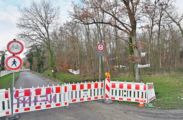 Am Eingang zum Langmattenwldchen hng...arente und liegen Reste von Blockaden.  | Foto: Michael Bamberger