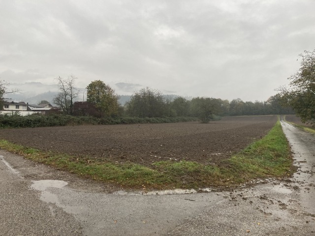 Auf diesem Grundstück in Wallbach soll die Feuerwache gebaut werden.  | Foto: Annemarie Rösch