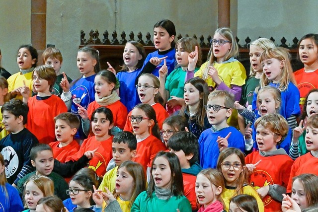 Die Matrise vocale und das Barockorch...entssingen in der Lahrer Stiftskirche.  | Foto: Endrik Baublies