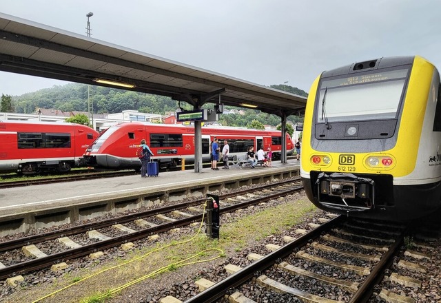 Das Dieselzeitalter auf der Hochrhein-...ktrische Zugmaschinen ersetzt werden.   | Foto: Vlk, Melanie