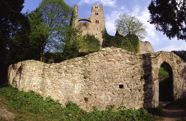 Die Schauenburg-Ruine ber Oberkirch w... Schauplatz der Festaktivitten sein.   | Foto: stadt