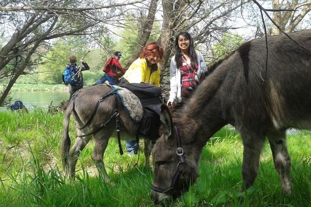 Eselwanderung & Wildkruterfhrung mit Oliver Haury