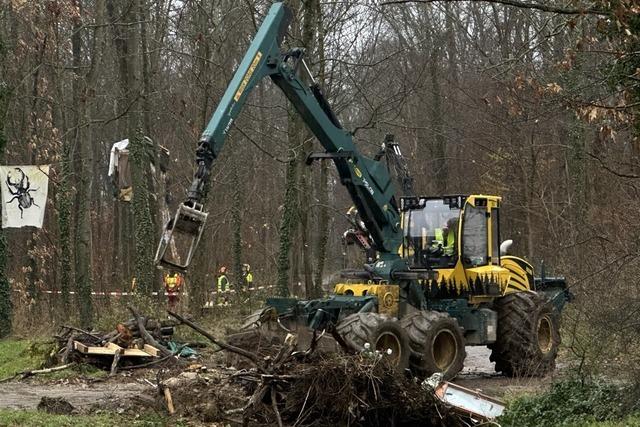 Liveblog: Stadt Freiburg startet Rodung fr Dietenbach – eine Handvoll Aktivisten harrt im besetzten Wldchen aus