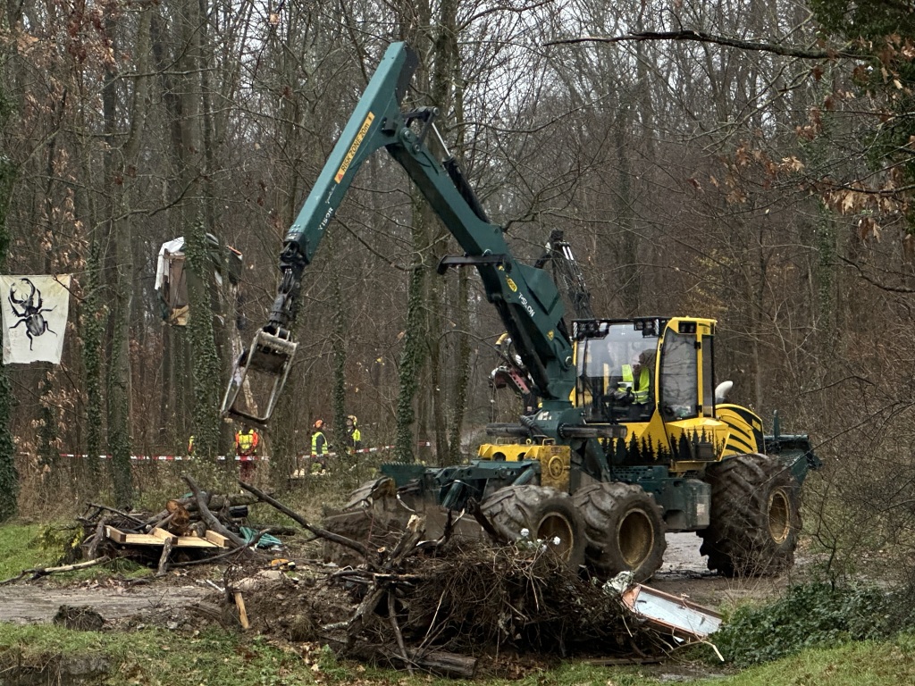 Die Forstarbeiten haben am Samstagmorgen begonnen.