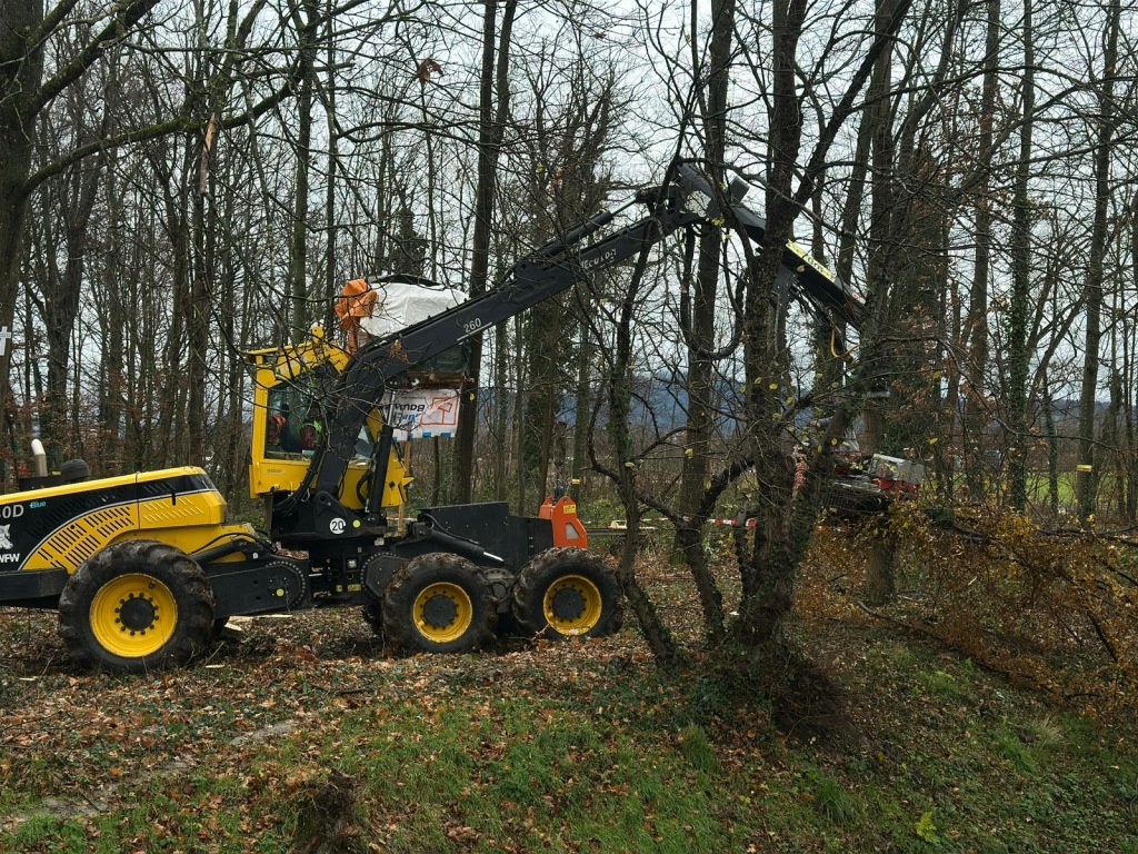 Rodung des Langmattenwldchens fr Freiburg-Dietenbach hat begonnen.