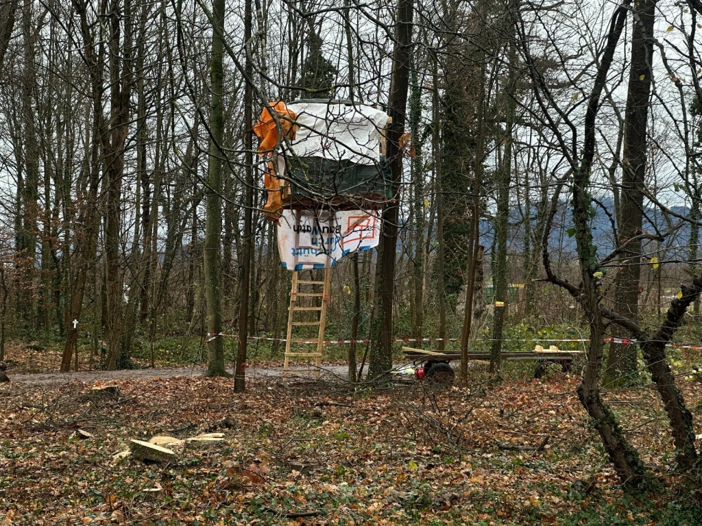 Rodung des Langmattenwldchens fr Freiburg-Dietenbach hat begonnen.