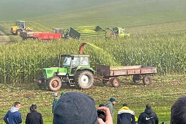 Landwirte aus Wutach und Sthlingen organisieren Maisernte mit alten Maschinen