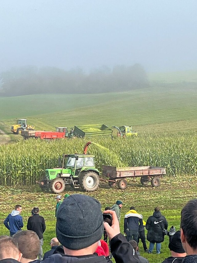 Alte Erntemaschinen im Einsatz.  | Foto: Ingrid Mann