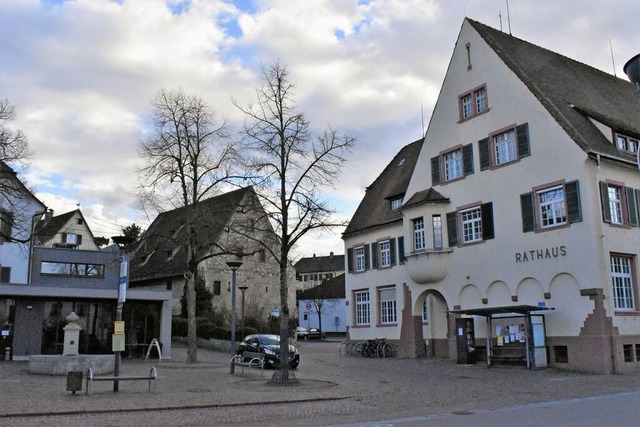 Der Gemeinderat von Binzen hat ber die Grundsteuer debattiert.  | Foto: Thomas Loisl Mink