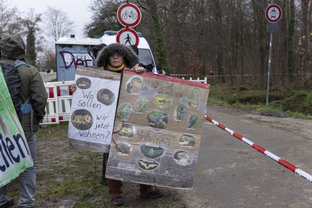 Rodung des Langmattenwldchens fr Freiburg-Dietenbach hat begonnen.