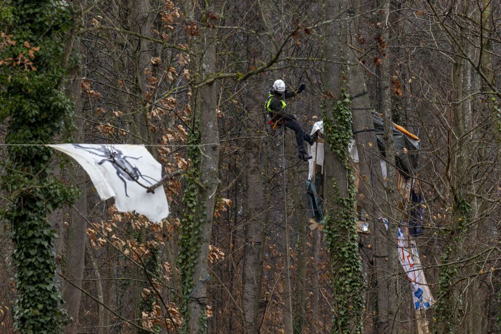 Rodung des Langmattenwldchens fr Freiburg-Dietenbach hat begonnen.