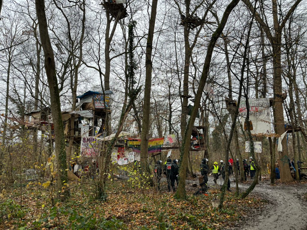 Rodung des Langmattenwldchens fr Freiburg-Dietenbach hat begonnen.