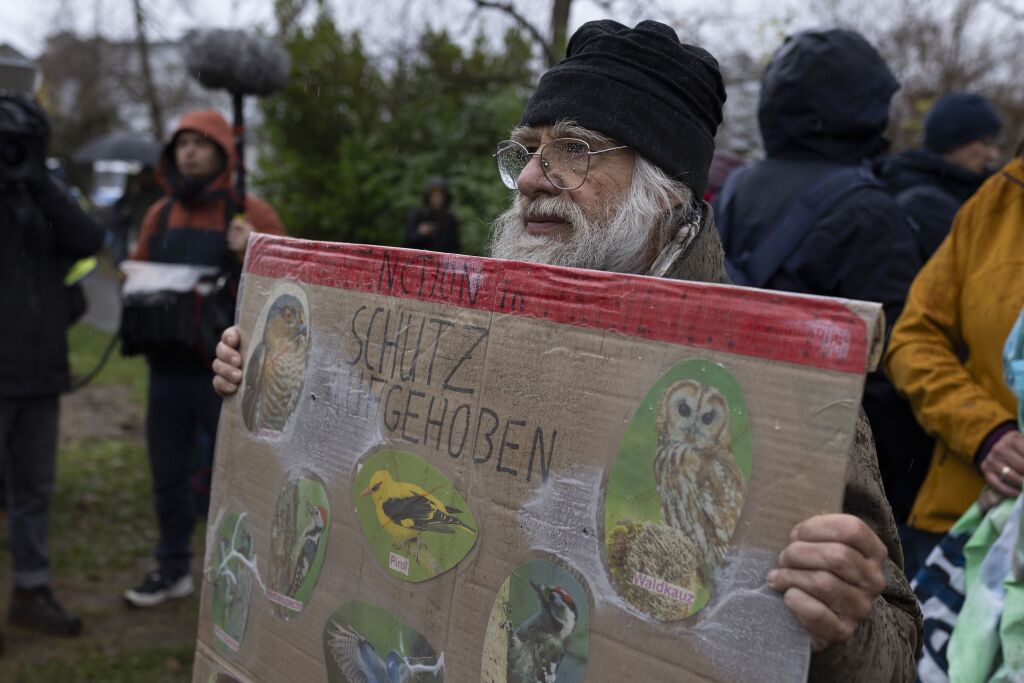 Rodung des Langmattenwldchens fr Freiburg-Dietenbach hat begonnen.