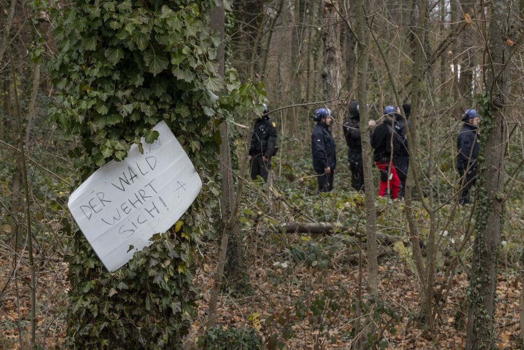 Rodung des Langmattenwldchens fr Freiburg-Dietenbach hat begonnen.