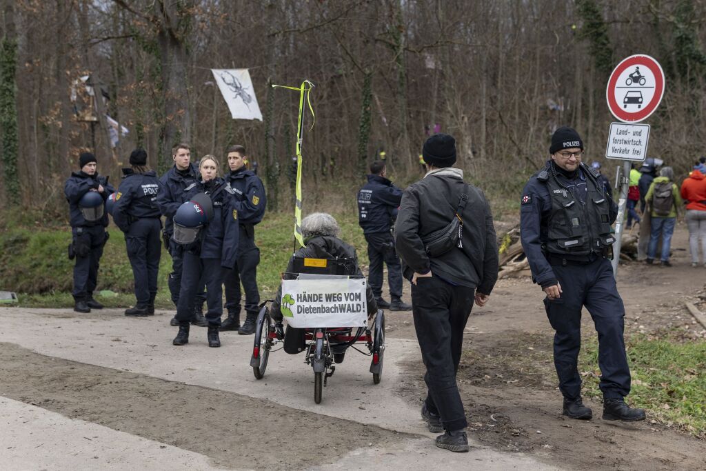 Rodung des Langmattenwldchens fr Freiburg-Dietenbach hat begonnen.