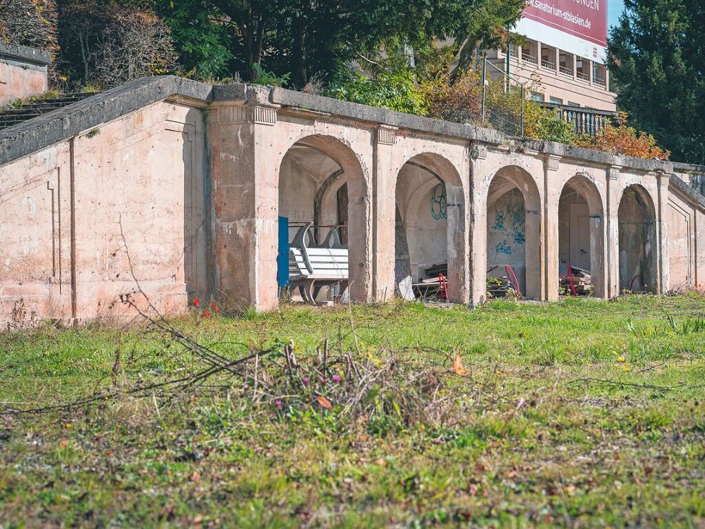 Das Sanssouci des Schwarzwaldes wird das neobarocke Sanatorium in St. Blasien genannt. Der denkmalgeschtzte Bau stand lange leer und soll nun bald saniert werden – ebenso wie der Sanagarten, der das markante Gebude umgibt.