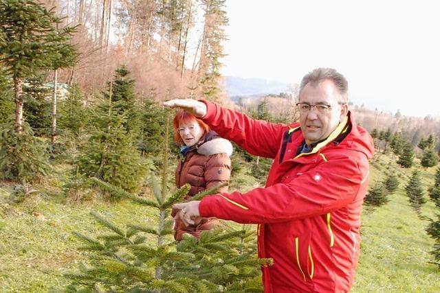 Bhlerhof in Schwrstadt gibt Tannenbaumverkauf auf