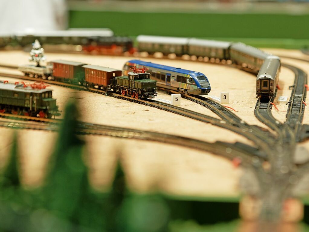 Viel zu entdecken und zu fotografieren gab es am Wochenende bei der Modelleisenbahn-Ausstellung der Eisenbahnfreunde Breisgau im Endinger Brgerhaus.