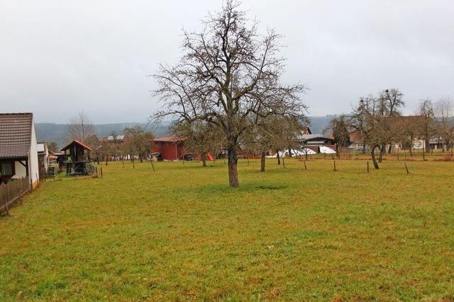 Der Weg zum genehmigten Bebauungsplan kann lang sein - ein Beispiel aus Lffingen