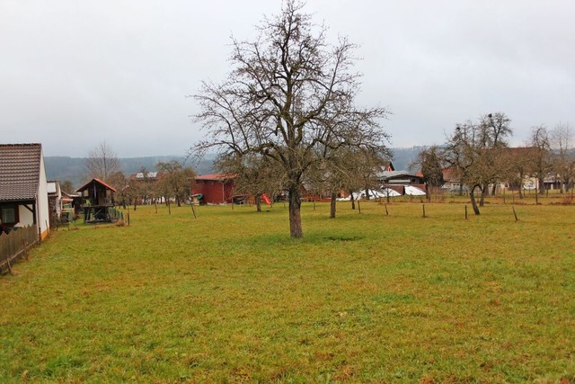 Obstbaumwiese in Unadingen, die bebaut werden soll  | Foto: Christa Maier