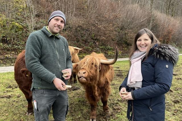 Wie funktioniert Cow Sharing im Oberen Wiesental?