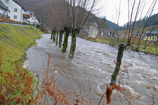 Fr einen besseren Hochwasserschutz so... wird nun aus Spargrnden verschoben.   | Foto: Sattelberger