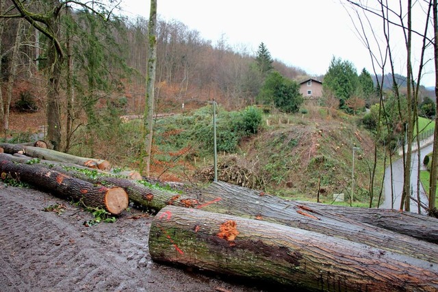 Am Waldrand am Altvater finden seit Mitte November Forstarbeiten statt.  | Foto: Manfred Eble