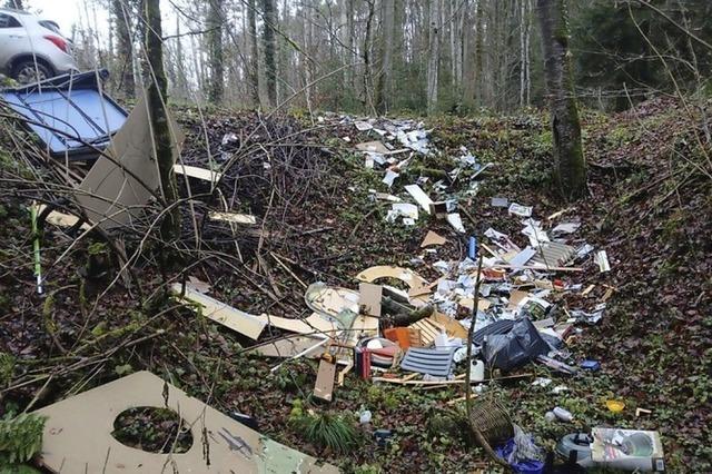 Unbekannte kippen Mll in den Wald