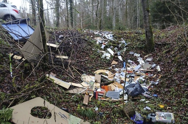 Der Stadtwald als Mllhalde  | Foto:  Stadtverwaltung Waldshut-Tiengen