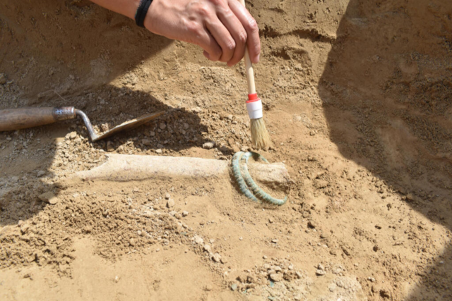 Forscher finden in Endingen eine einzigartige keltische Grabanlage