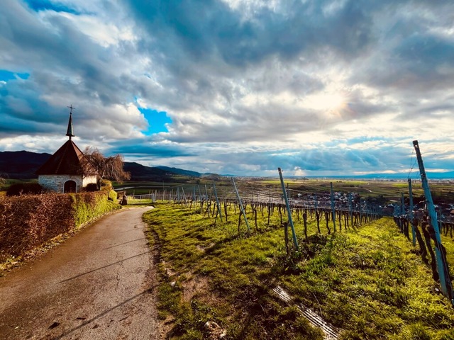 Die Region um Staufen und das Mnstert...ewirksamer Namen hat ihr noch gefehlt.  | Foto: Michael Bechtold