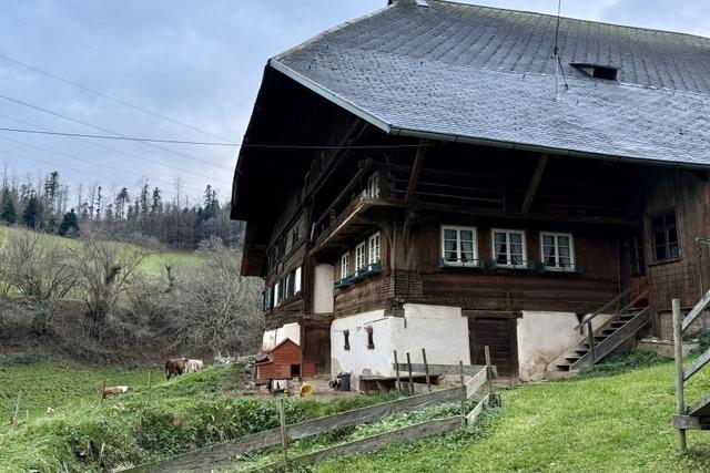 Der Hinterbauernhof in Stegen hadert mit dem geplanten Verbot der Kombinationshaltung fr Milchkhe