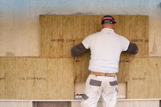 Wrmedmmung an einem Wohnhaus. (Symbolbild)  | Foto: Klaus-Dietmar Gabbert (dpa)