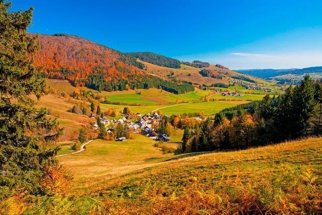 Das Biosphrengebiet Schwarzwald macht beim Land Druck frs Todtnauer Infozentrum