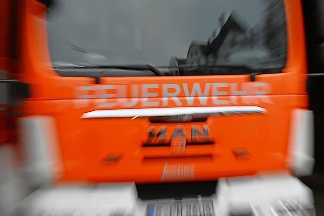 Ein Fhrungstrio leitet knftig die Lenzkircher Feuerwehr