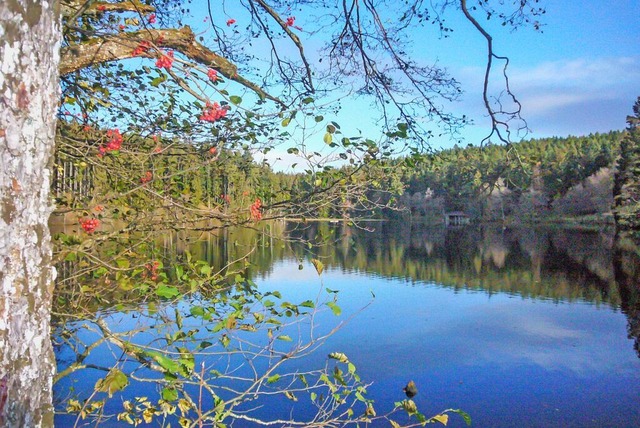 Kann der Schlchtsee in Grafenhausen i... mit hohem Wasserstand genutzt werden?  | Foto: Wilfried Dieckmann