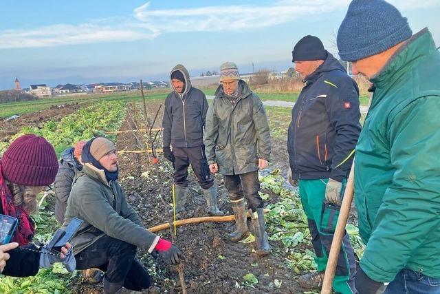 Agroforst soll helfen, Landwirtschaft besser ans Klima anzupassen