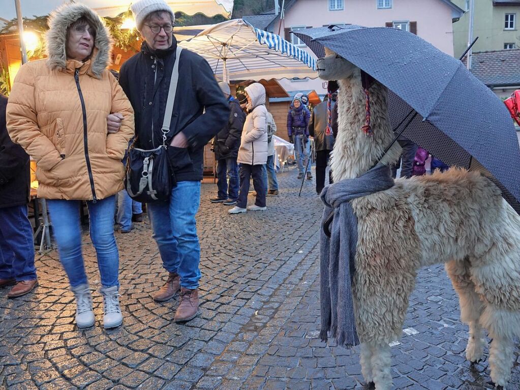 Trotz Regenwetters war die Stimmung bei der Laufenburger Altstadtweihnacht gut.