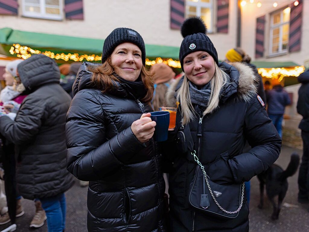 Vor der schnen Kulisse des Schlosses kamen wieder viele Besucher zum Kirchhofener Weihnachtsmarkt.