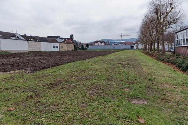 Endingen stellt Weichen fr geplantes Gesundheitszentrum, doch es gibt auch Kritik