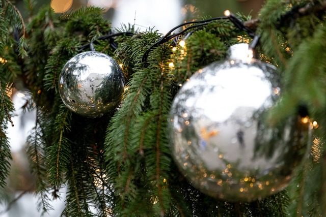 Ein Dieb hat einen Weihnachtsbaum gestohlen - samt Schmuck. (Symbolbild)  | Foto: Fabian Sommer/dpa