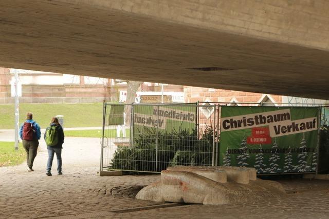 Fotos: Eine Ode an den rauen Charme von Weihnachtsbaum-Stnden in der Region