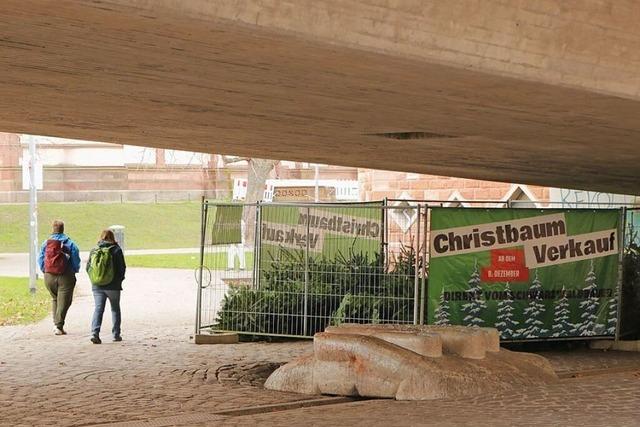 Eine Ode an den rauen Charme von Weihnachtsbaum-Stnden in der Region