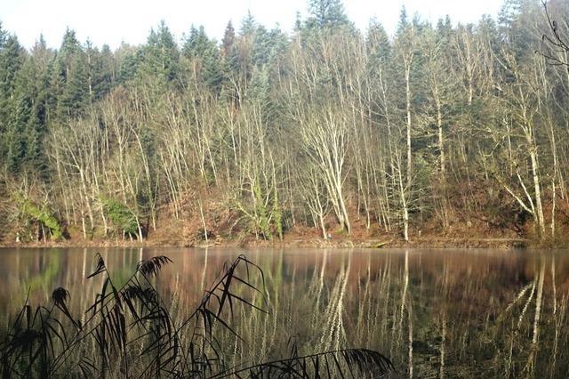 Ruhiger Morgen am Bergsee