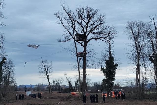 Liveblog: Der letzte besetzte Baum im Langmattenwldchen in Freiburg ist gefllt