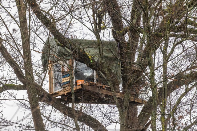 Das Freiburger Waldst&uuml;ck ist nach der Besetzung ger&auml;umt. (Archivfoto)  | Foto: Philipp von Ditfurth/dpa