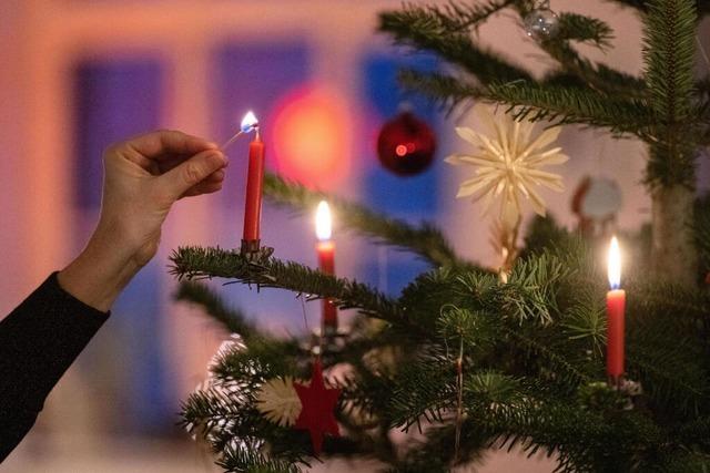 Nach Baden-Wrttemberg werden weniger Weihnachtsbume importiert