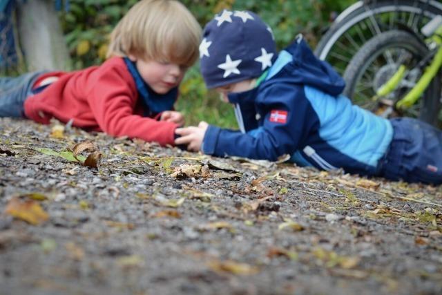 Stegen prft Anschaffung einer Containeranlage zur Kinderbetreuung