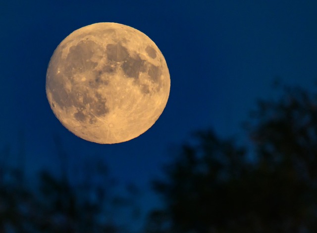 Der Mond zeugt von einer planetaren Katastrophe. (Archivbild)  | Foto: Patrick Pleul/dpa