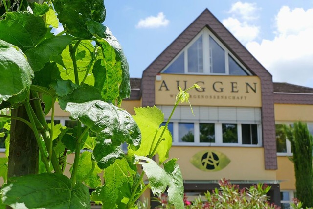 Der Auggener Winzerkeller hat ein gute...arkt dennoch mit einer gewissen Sorge.  | Foto: Susanne Ehmann